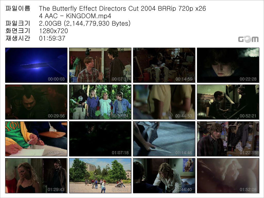 the butterfly effect 720p VK