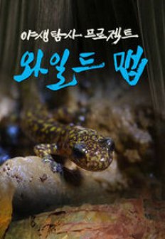 �߻�Ž�� ������Ʈ ���ϵ� ��