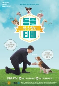 �������� ����Ƽ��